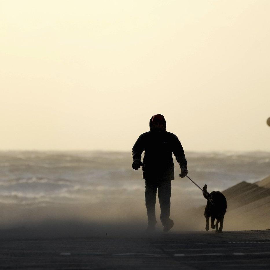 Ireland and UK clean up after unprecedented Storm Éowyn brings record winds and damage